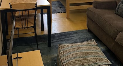 Cozy Convenient Downtown Apt Walk Everywhere
