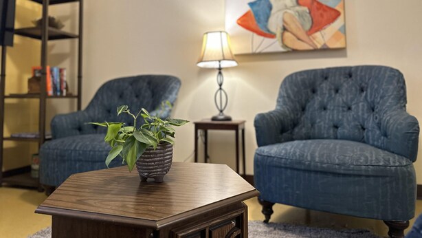 Ein Wohnzimmer mit zwei blauen Sesseln, einem kleinen Holztisch mit einem Blumentopf, einer Lampe und einem Bücherregal.