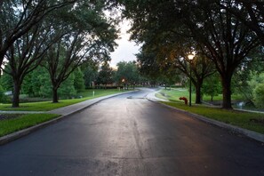 Une rue bordée d’arbres, avec une route sinueuse, une borne d’incendie et un lampadaire.