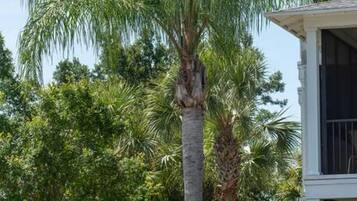 Apartemen | 3 kamar tidur