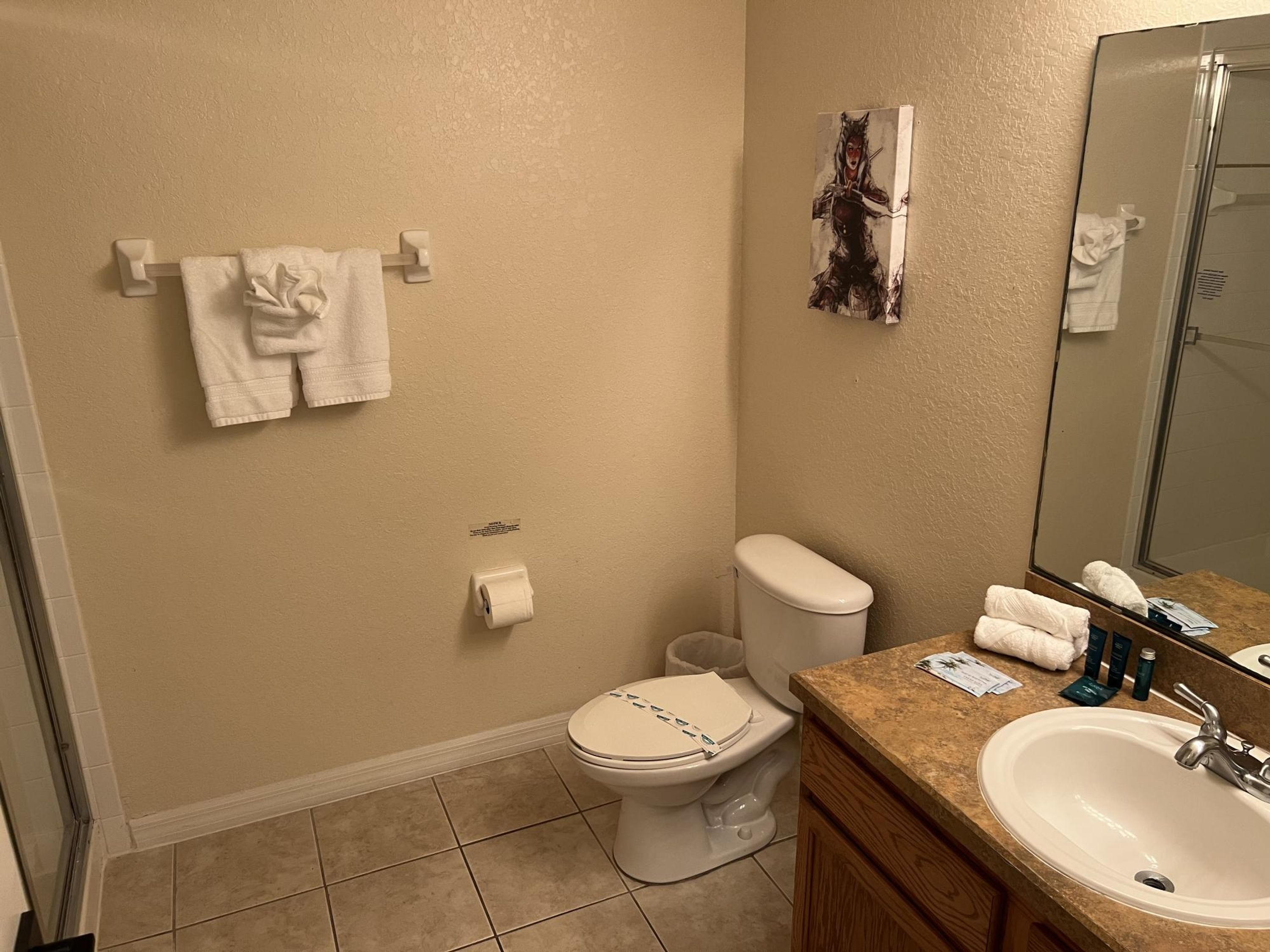 Une salle de bain avec des toilettes, un lavabo et un miroir. Il y a des serviettes accrochées au mur et un rouleau de papier toilette.