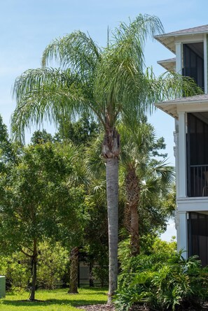 Apartment, Accessible | 3 bedrooms - 1st Floor Park Free Disney (Davenport)