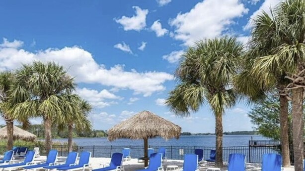 Une plage avec des chaises longues bleues et des palmiers.