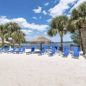 A beach with blue lounge chairs and palm trees. - 1st Level Pool Beach Disney Area (Davenport)