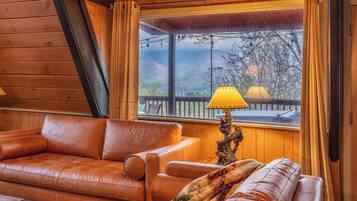 Smart-TV, Kamin, BĂŒcher