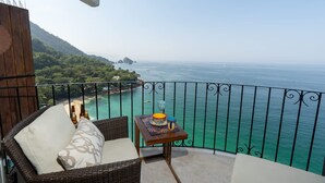 House - Breathtaking Ocean Views Quiet Penthouse (Puerto Vallarta)