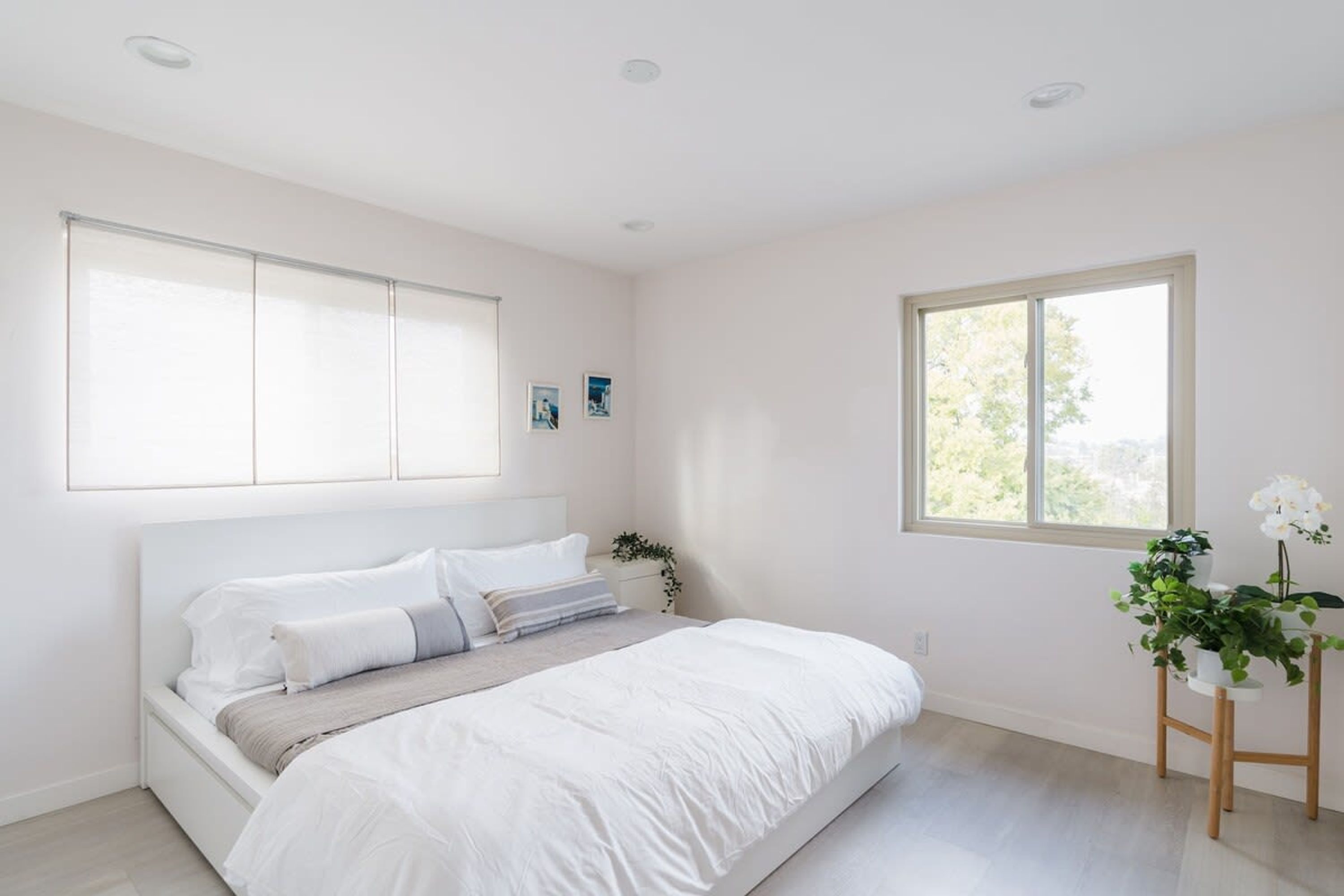 A bedroom with a bed, a window, and a plant.