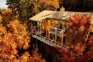 Property grounds - Quaint&Private | View | HotTub | PoolTable | Bears (Gatlinburg)