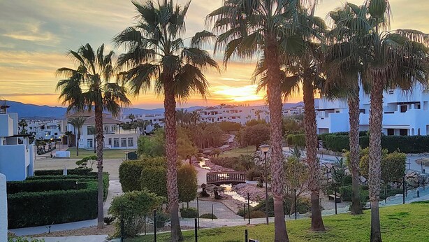 Un complexe hôtelier bordé de palmiers, avec un sentier et une vue sur le coucher de soleil.