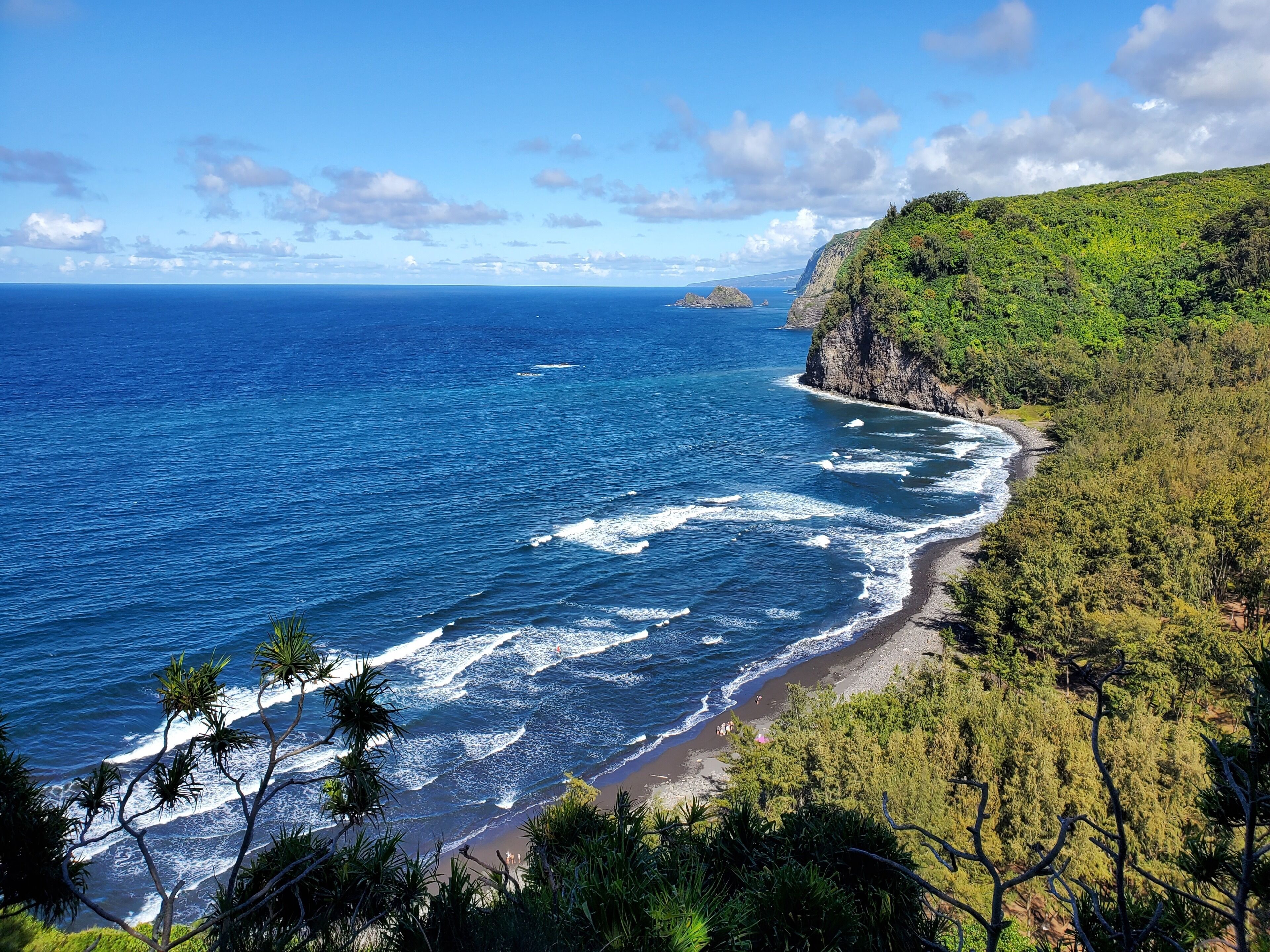 Sun loungers, beach towels