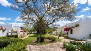 A courtyard with a cobblestone path, surrounded by white buildings with balconies and potted plants. - ALBUFEIRA BALAIA GOLF VILAGE 6 WITH POOL by HOMING (Albufeira)