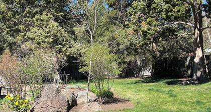 HideAway Chalet, perfect destination for peace, relaxation retreat, adventure