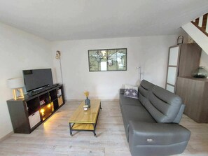 TV, fireplace, books