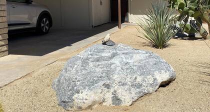 The Divot Club: What's not to love about Borrego