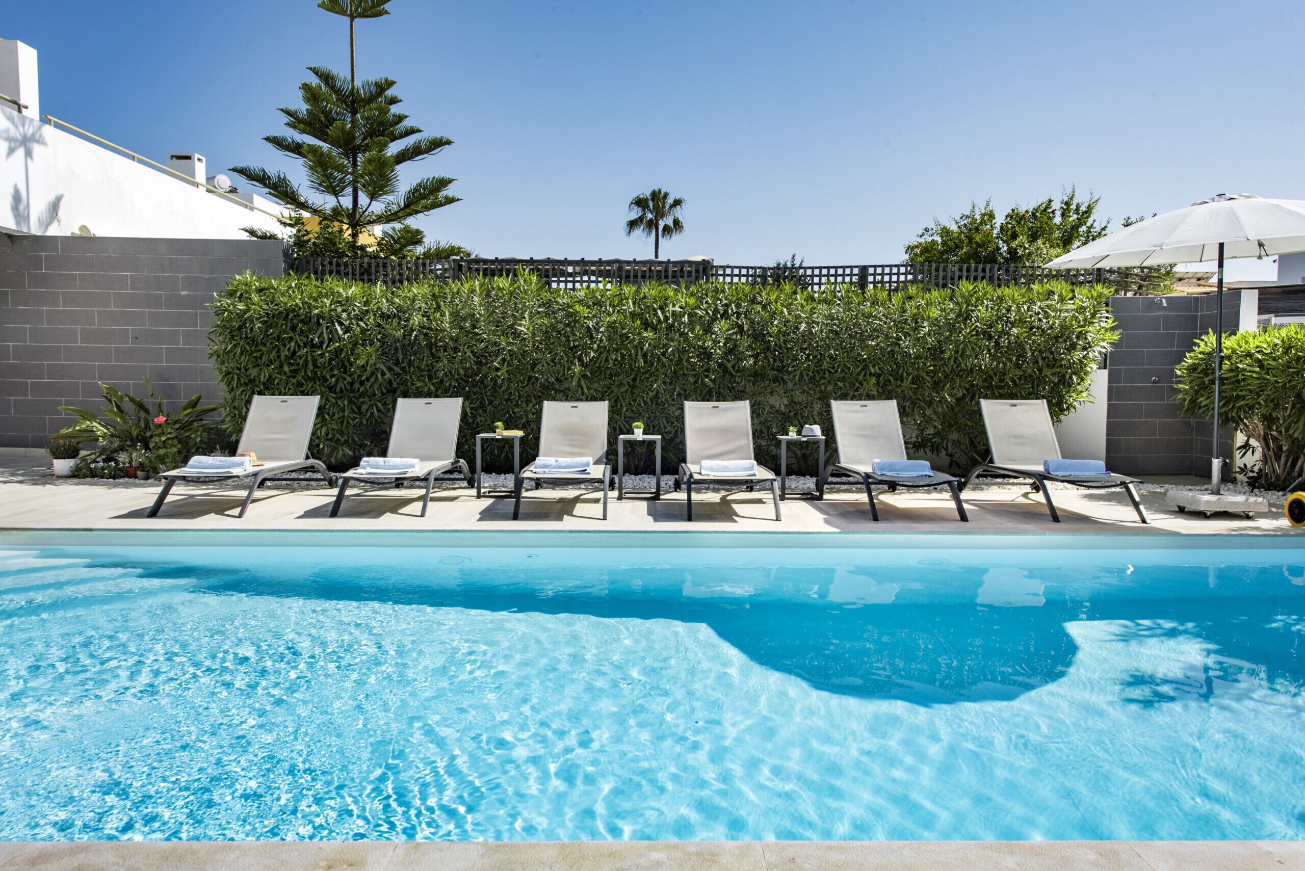 A swimming pool with lounge chairs and a hedge in the background.
