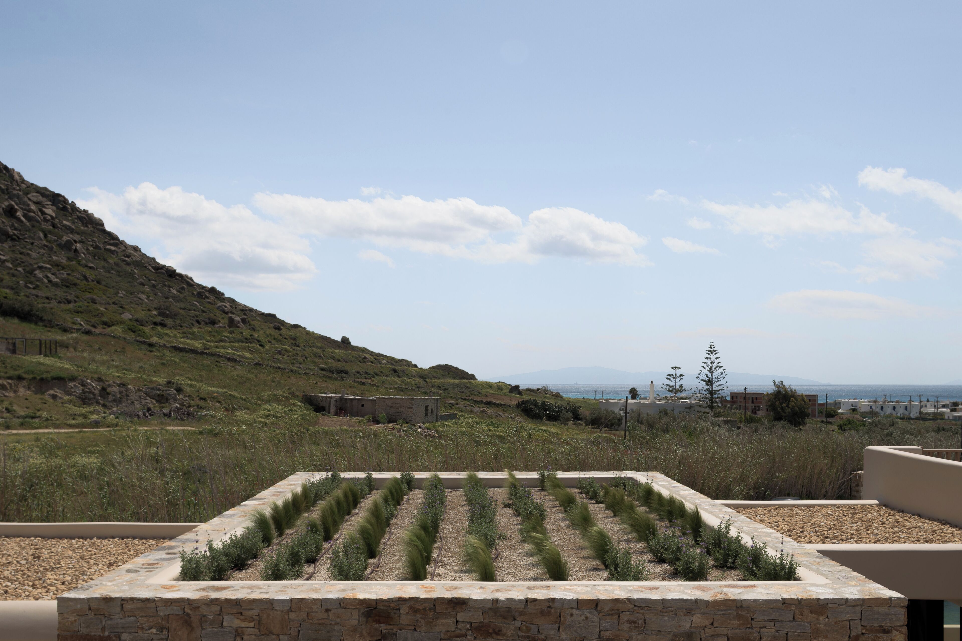A rooftop garden with rows of plants, a stone wall, and a view of a hilly landscape with buildings in the distance.
