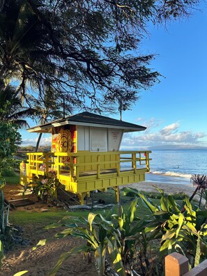 A lifeguard tower with a beach view, surrounded by vegetation.
