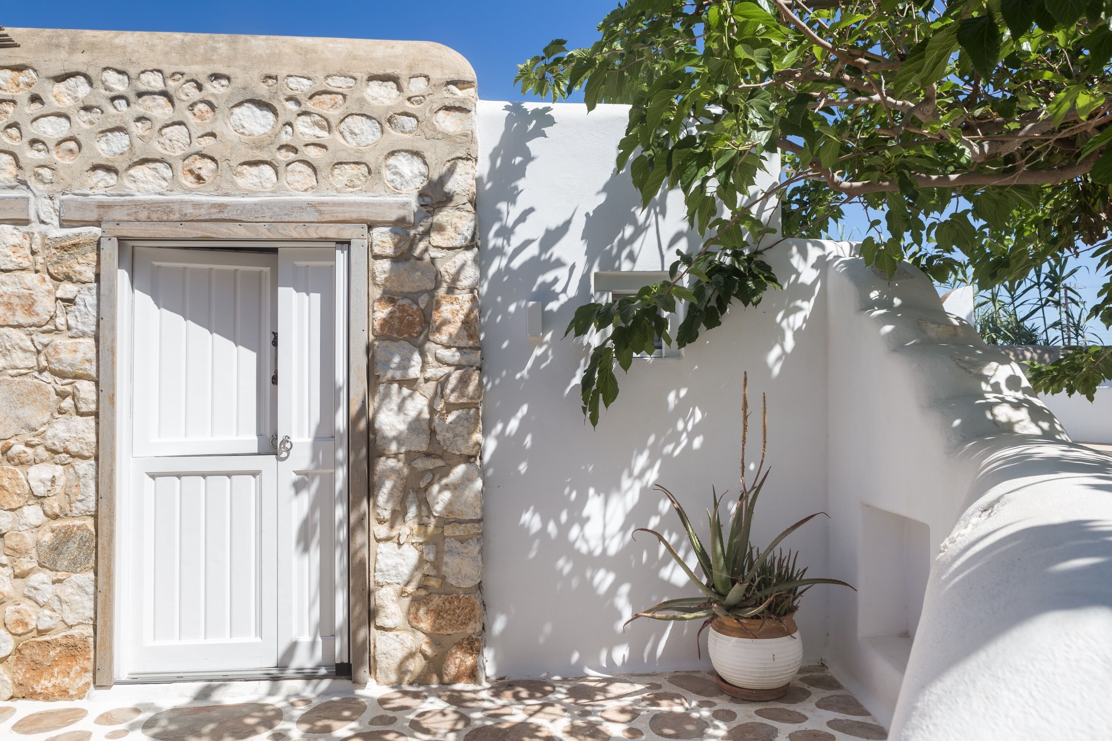 A white door with a stone wall, a potted plant, and a tree casting shadows on the wall.