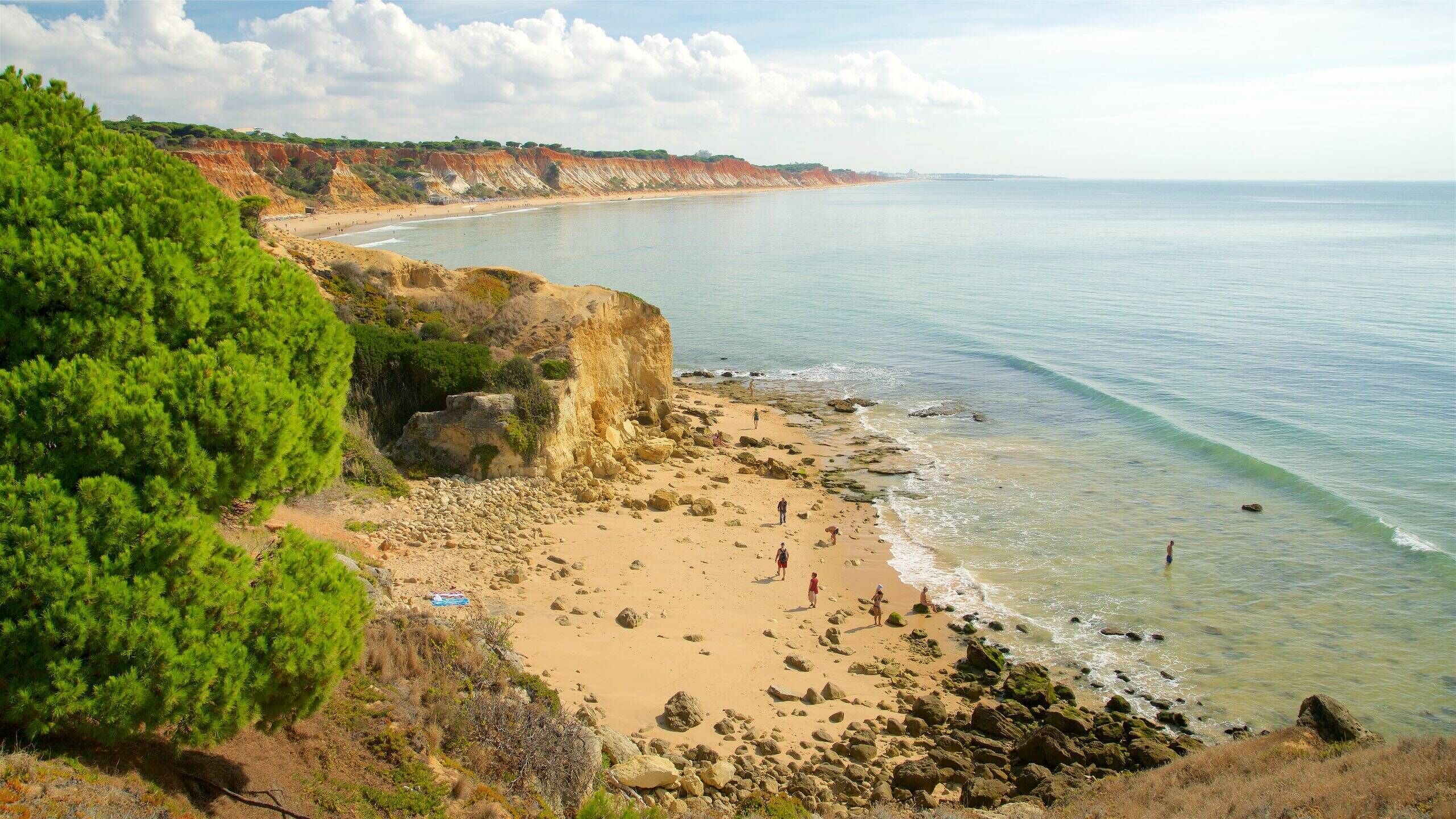 Una spiaggia costiera con terreno roccioso e vegetazione rada.