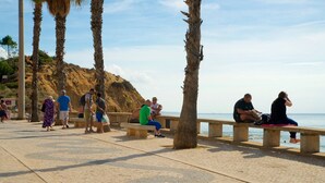 A coastal promenade with benches and palm trees.