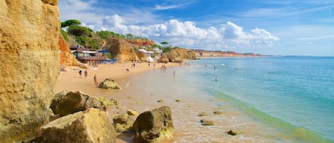 Playa en los alrededores