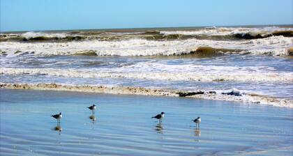 3 SPACIOUS KING beds, Rooftop dining, Easy Walk to Strand, 8 blks to Beach