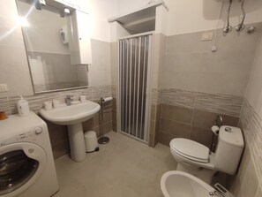 Shower, hair dryer, bidet, towels