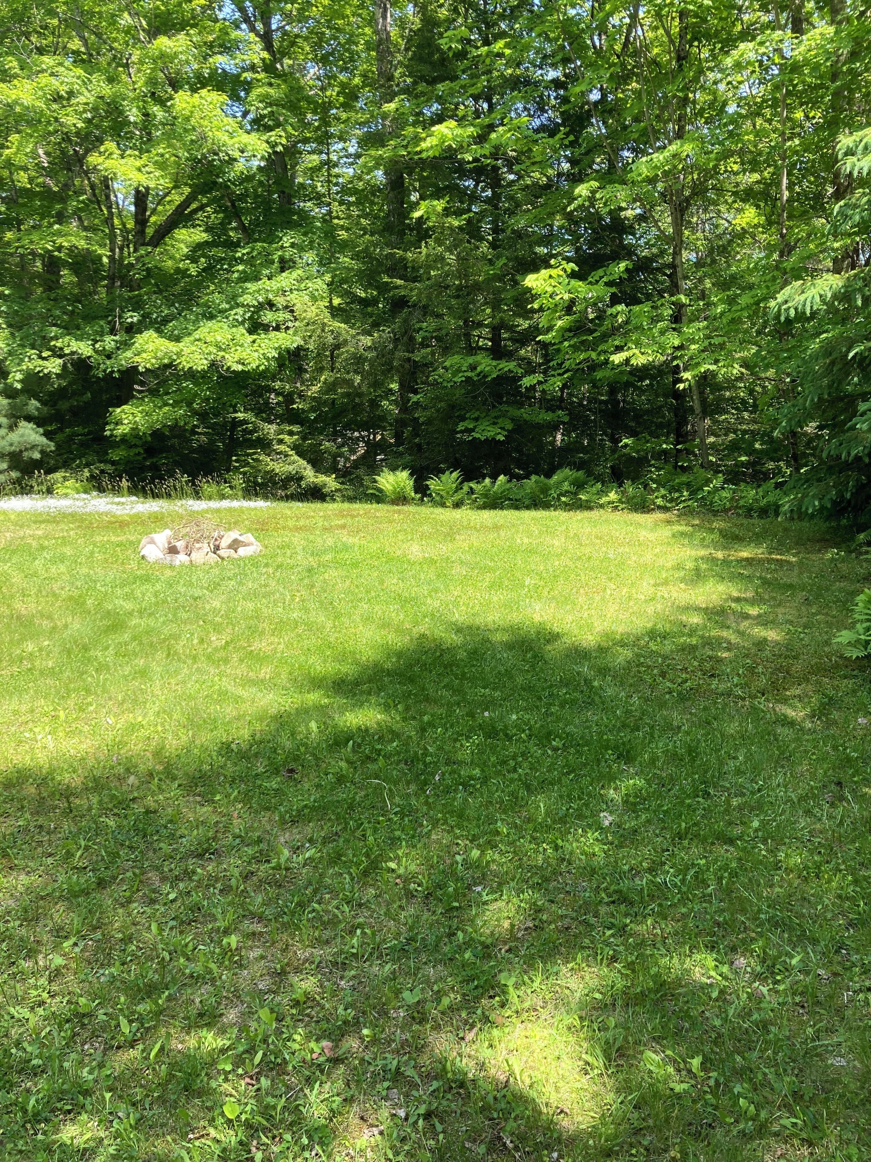 A grassy outdoor area with trees and a pile of rocks.