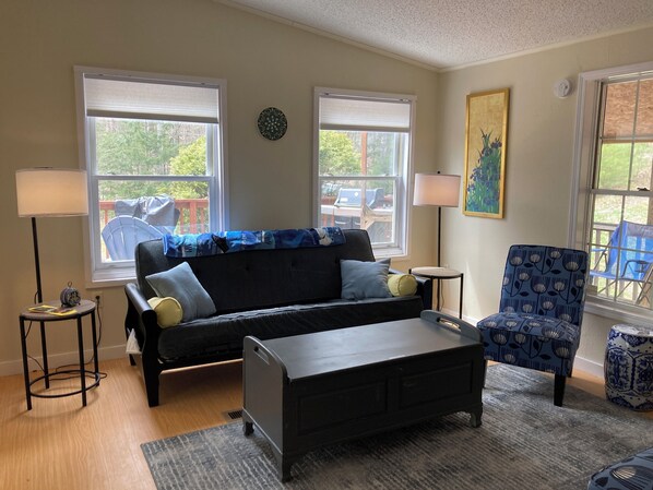 Smart TV, video games, DVD player, books