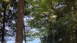 Señal que indica una zona exclusiva para miembros con embarcaciones en Wildwood Estates.