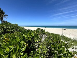 Una playa con abundante vegetación verde en primer plano y un cielo azul despejado.