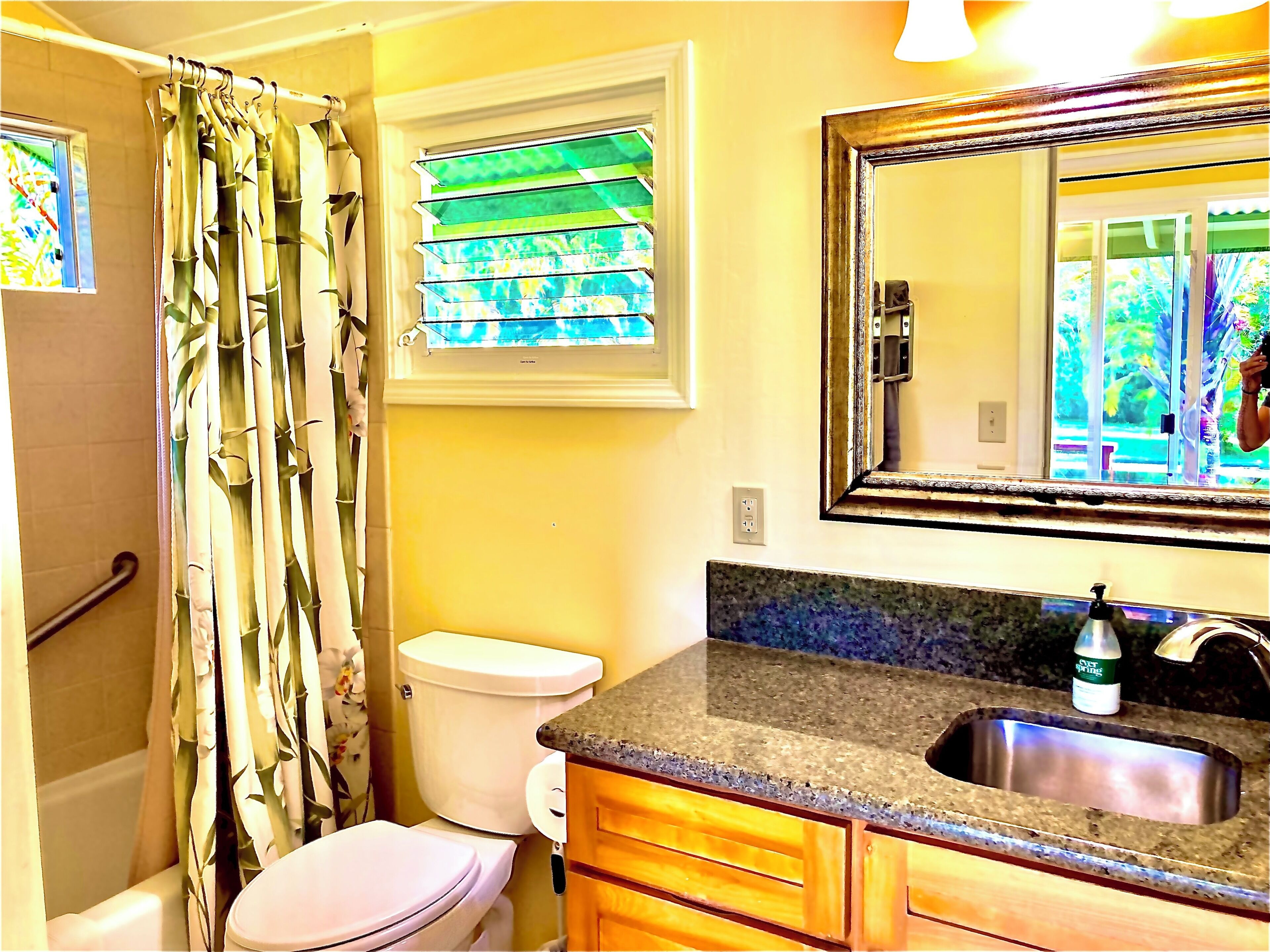 Hair dryer, towels, soap, shampoo