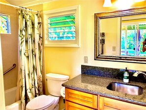 Hair dryer, towels, soap, shampoo
