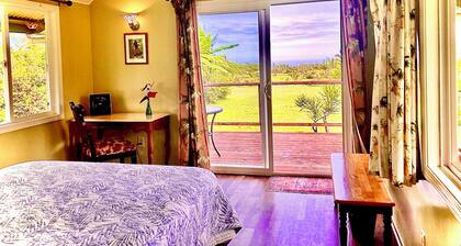 Puna Rainforest Hotspring Retreat -Rainbow Cottage with ocean views