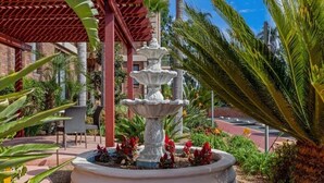 A white stone fountain surrounded by a circular planter with red and yellow flowers, set in a garden with palm trees and a brick building in the background.