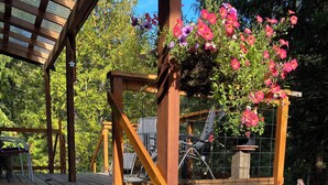 Una terraza de madera con escalera metálica, rodeada de plantas en macetas y una estructura de pérgola.