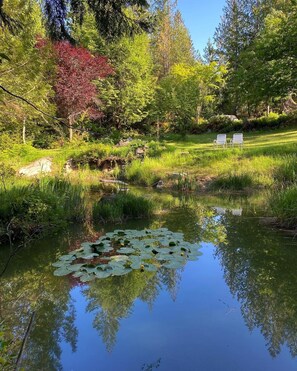 المنطقة المحيطة بالمنشأة