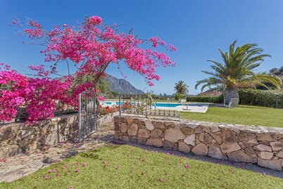 Terraced house with swimming pool