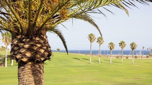En palm på förgrunden med en golfbana i bakgrunden.