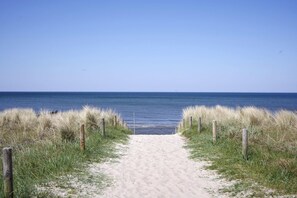 A sandy beach path leading to the ocean, flanked by grassy dunes and wooden posts. - Gemütliche Ferienwohnung in Reetgedeckter, Ruhiger Ferienanlage! - Achtern Diek (Zingst)