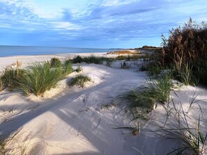 En sti langs en sandstrand med klitter og græs, der fører hen til havet.