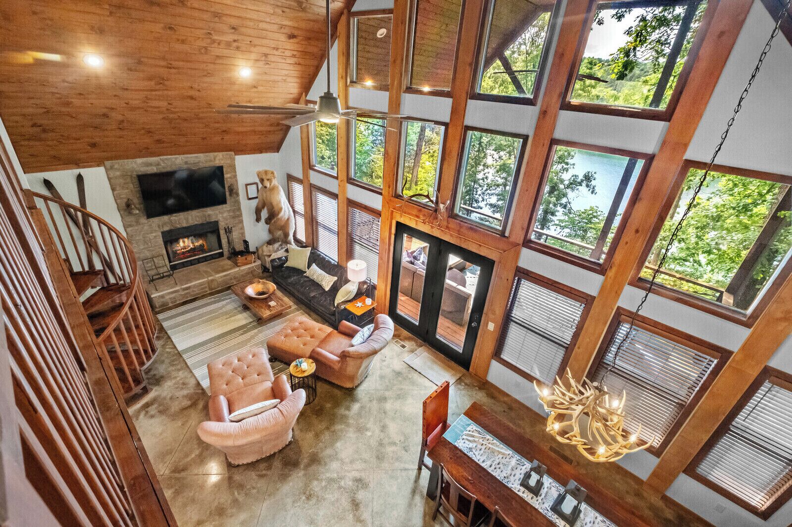 TV connectée, cheminée, lecteur de DVD, livres