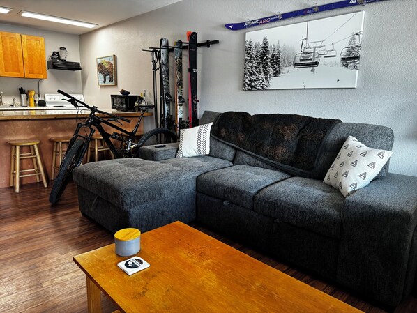 Smart TV, fireplace, books, stereo