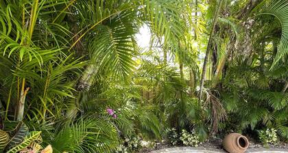 Highland Palms Oasis Home, your own private house, a block from the beach