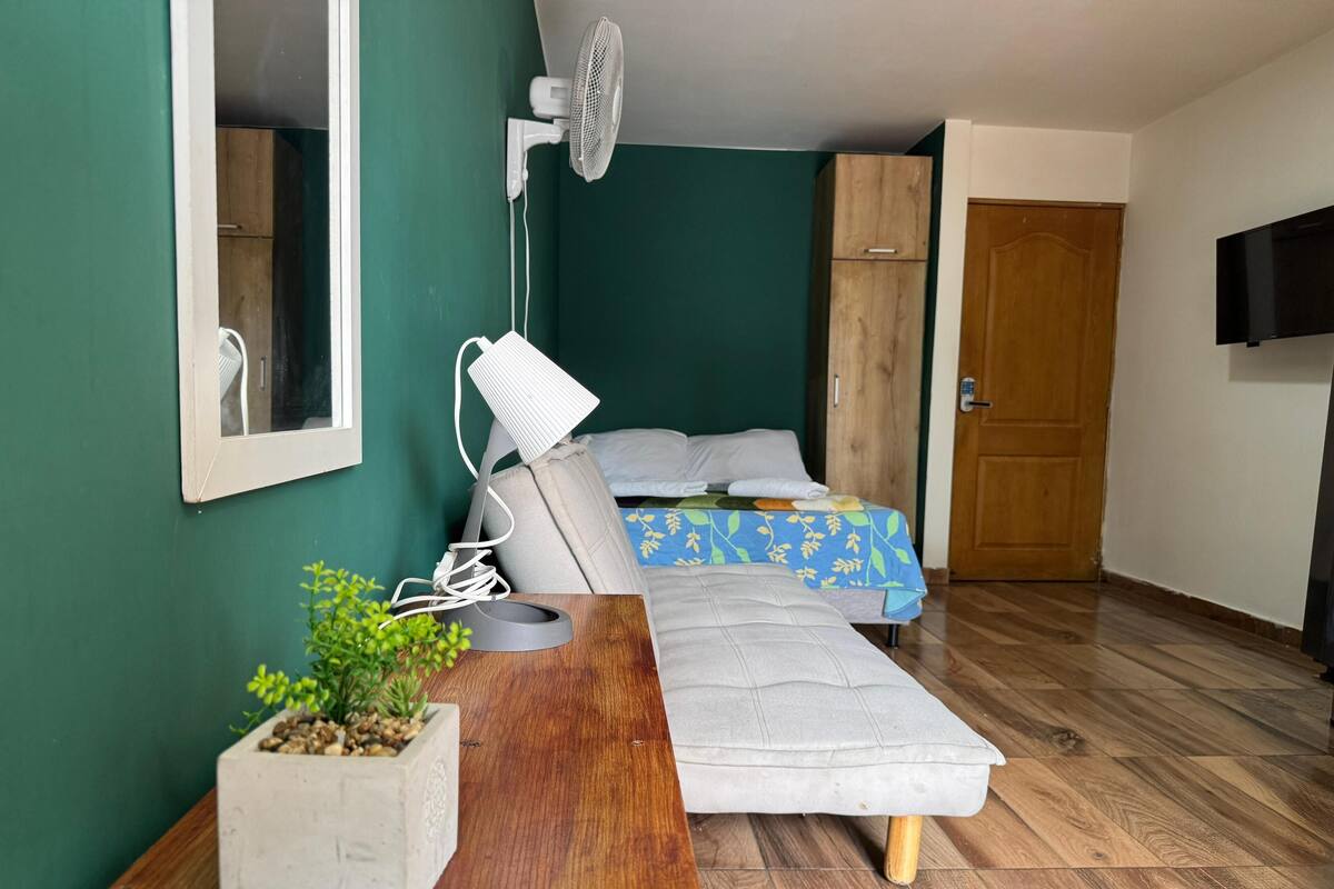 Una habitación compacta con cama, un escritorio con una planta, una lámpara de pie y un televisor montado en la pared.