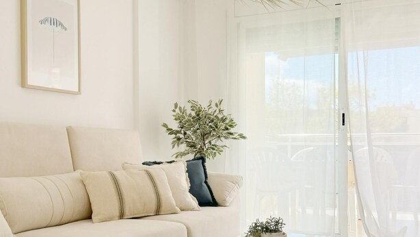 A modern living room with a beige sofa, a glass coffee table, and a potted plant.