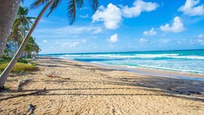 A beach with palm trees and ocean waves.