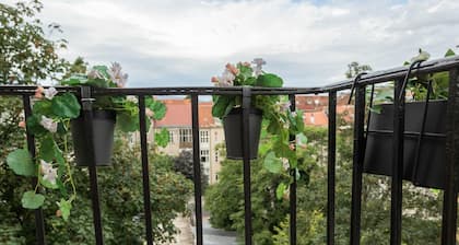 Bright and Modern Apartments in City Center