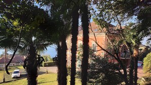 A view of a building with a red facade, surrounded by trees and a grassy area.