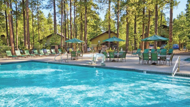 A swimming pool with lounge chairs and umbrellas, surrounded by tall trees. - Pinetop | Couples Mountain Retreat | Hot Tub + Forest (Pinetop)